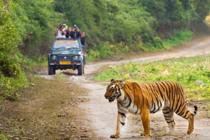 Jim Corbett